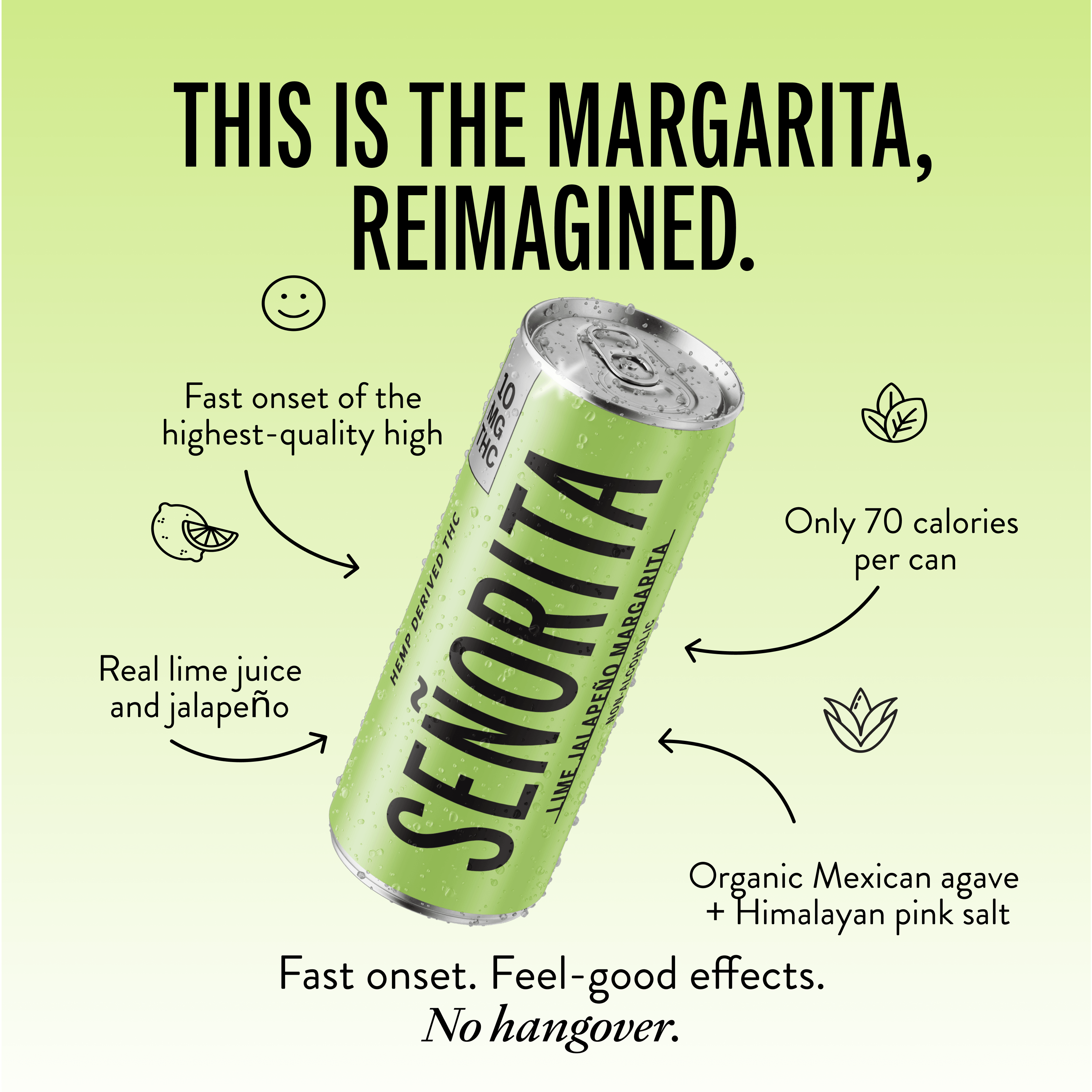 Senorita 12 Can Bundle